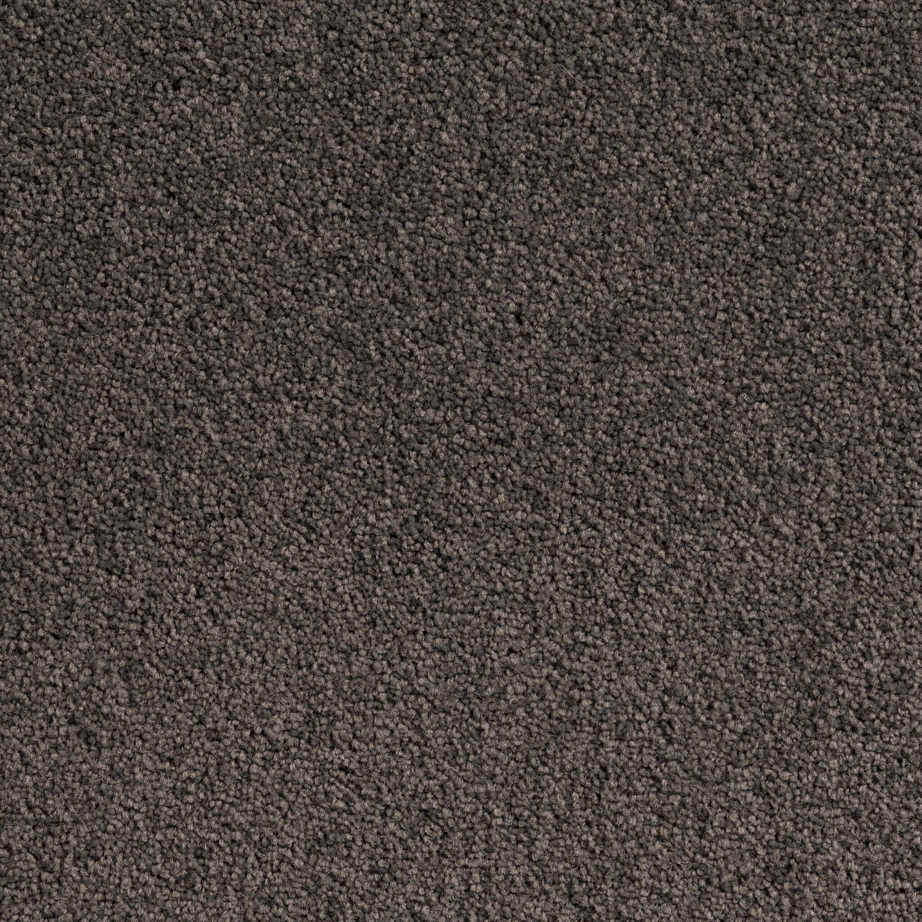 Carpet (Carpet Ashton Twist)