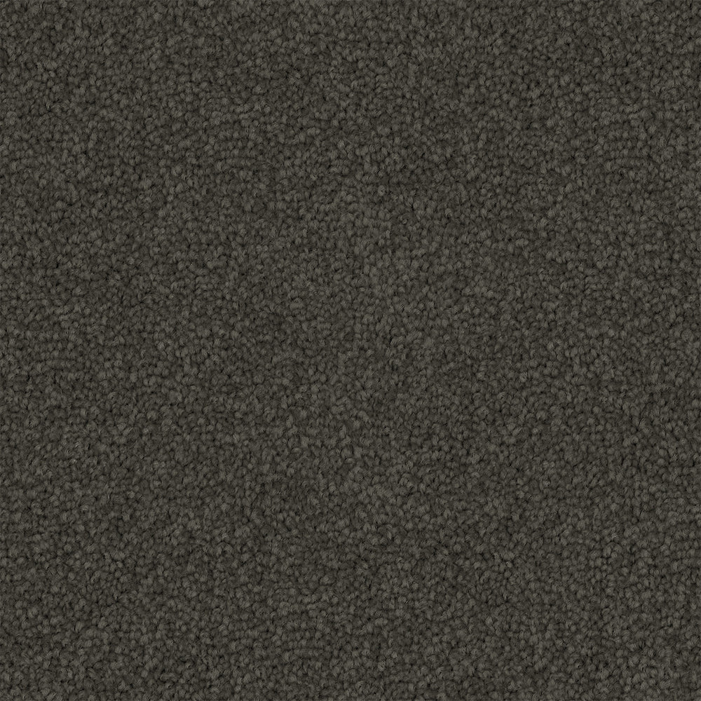 Tawren Cut Pile Twist Carpet (CGS11) - National Floors