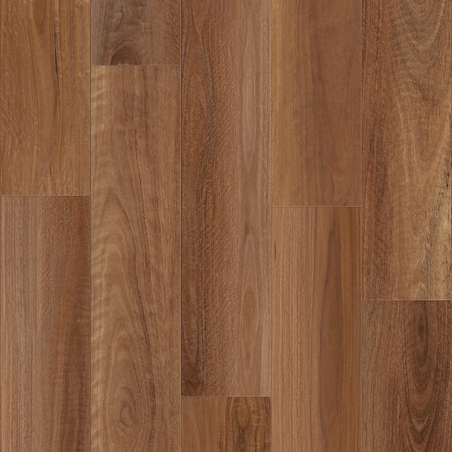 Spotted Gum 9mm Hybrid Flooring (HFL7) - National Floors