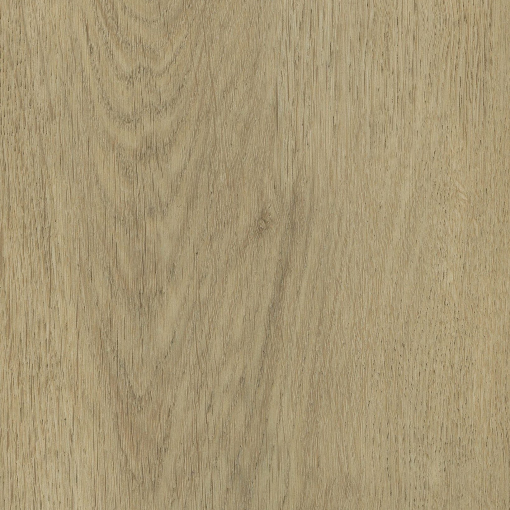 Birch Oak 6.5mm Hybrid Flooring (HFO5)
