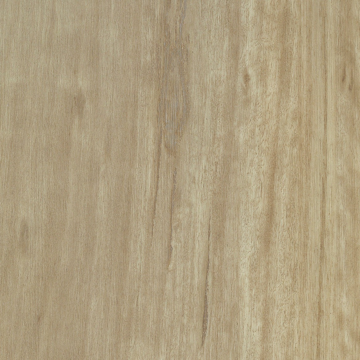 Chalk Blackbutt 6.5mm Hybrid Flooring (HFO4)
