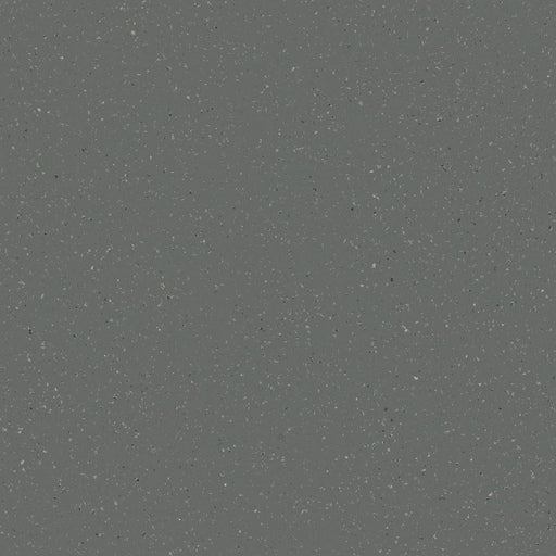 Shadow Obsidian Vinyl Sheet Flooring (VA187)
