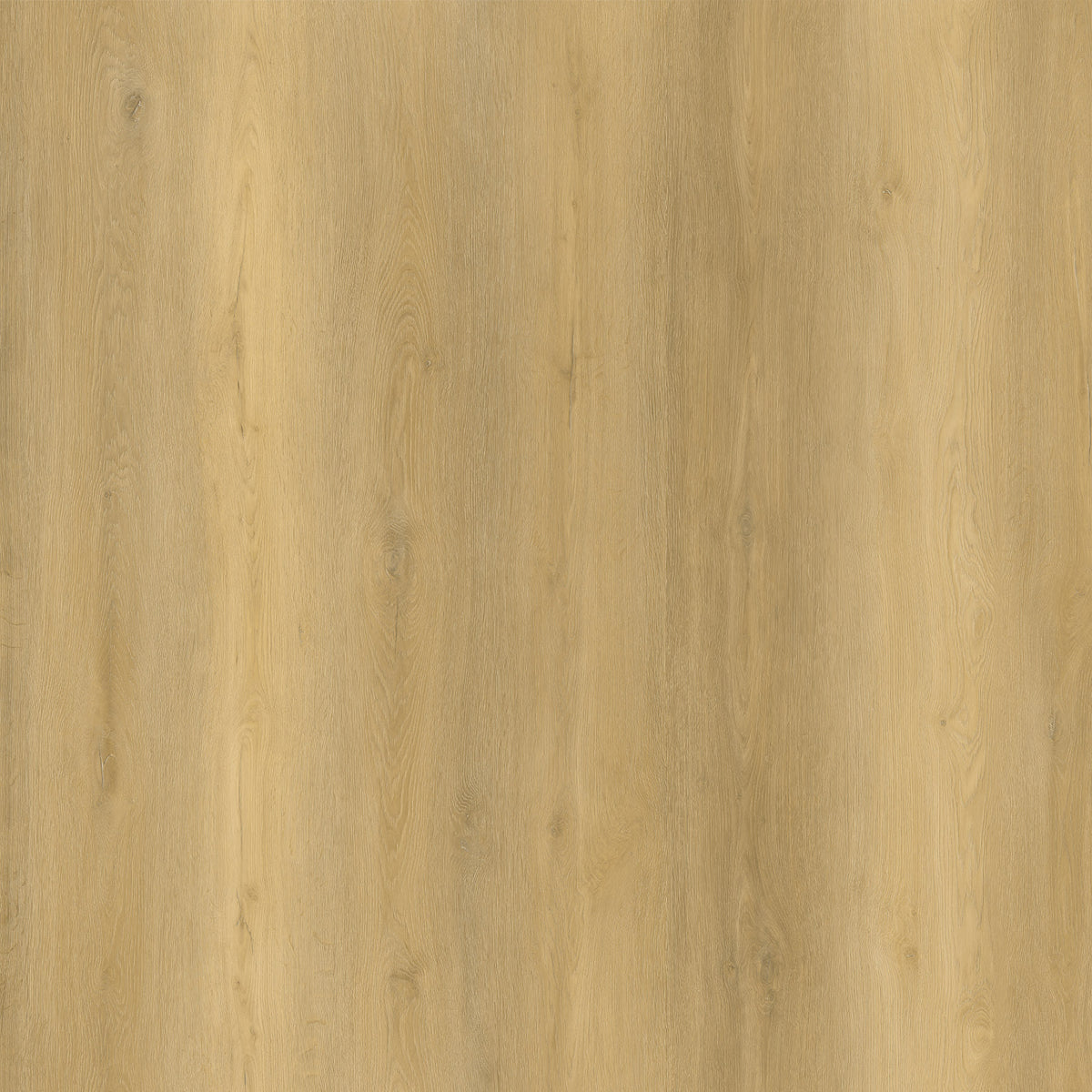 Glow 10mm Hybrid Flooring (HGH50)