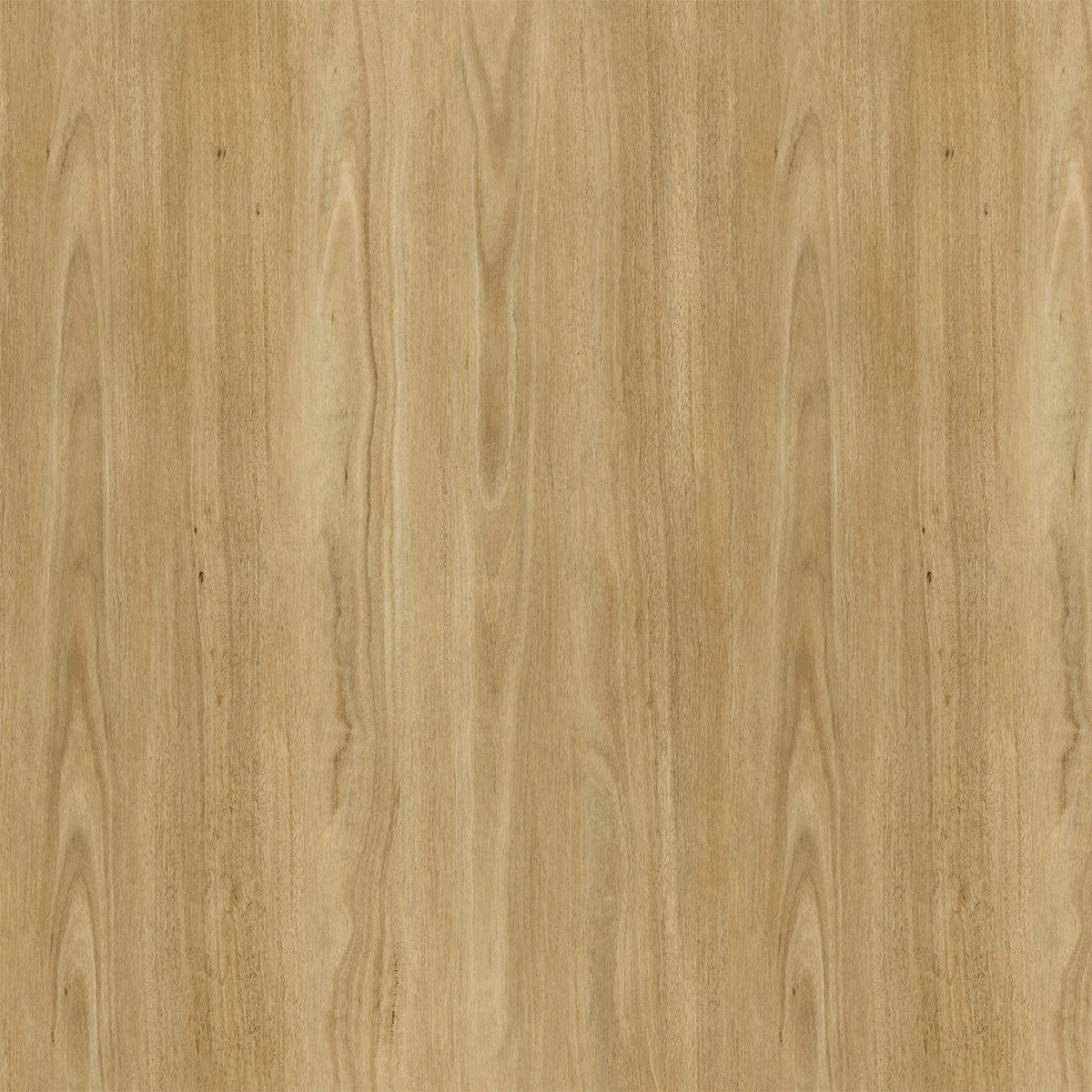 Nova Spotted Gum 10mm Hybrid Flooring (HGH59)
