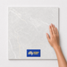 Snow TM23 600x600 tile with hand scale and National Floors card