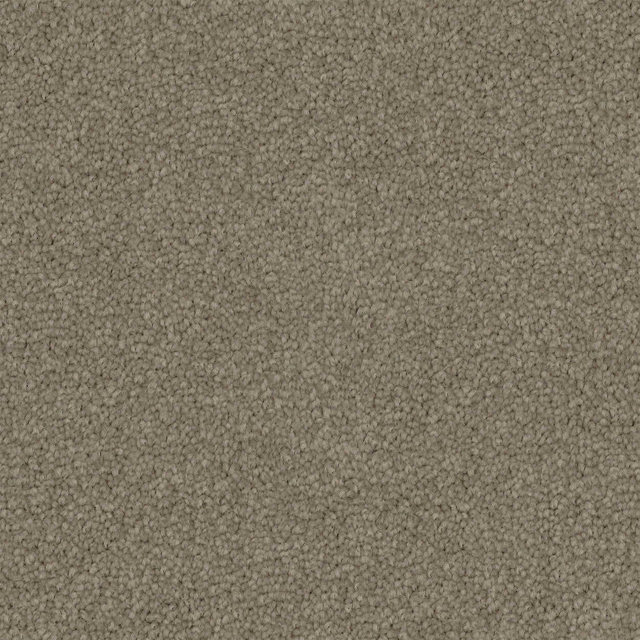 Acorre Cut Pile Twist Carpet (CGS1)