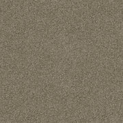 Acorre Cut Pile Twist Carpet (CGS1)