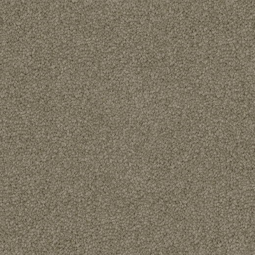 Acorre Cut Pile Twist Carpet (CGS1)