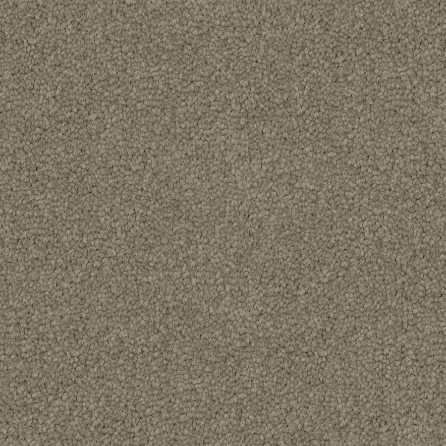 Acorre Cut Pile Twist Carpet (CGS1)