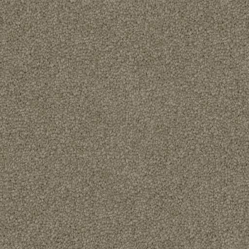 Acorre Cut Pile Twist Carpet (CGS1) - National Floors