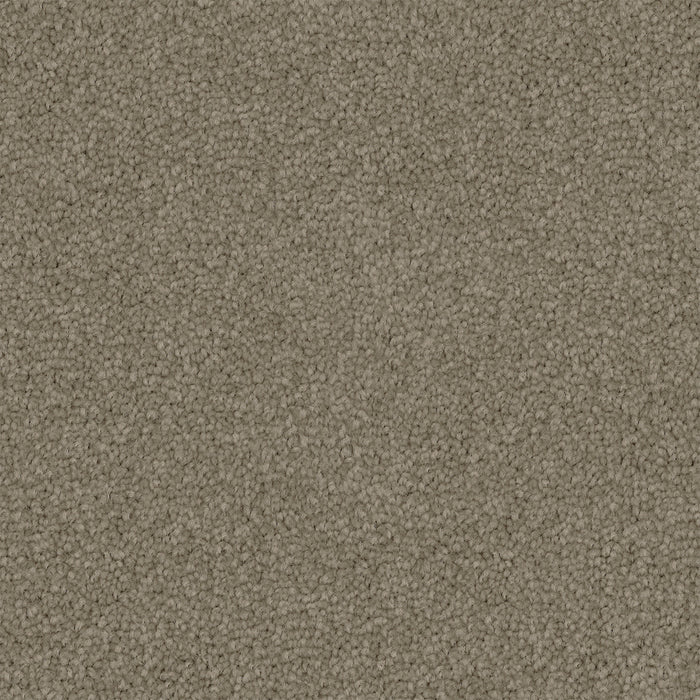 Acorre Cut Pile Twist Carpet (CGS1) - National Floors