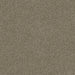 Acorre Cut Pile Twist Carpet (CGS1) - National Floors