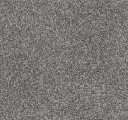 Alexandria Coast Cut Pile Twist Carpet (CGN1)