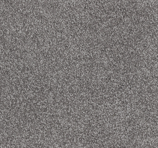 Alexandria Coast Cut Pile Twist Carpet (CGN1) - National Floors