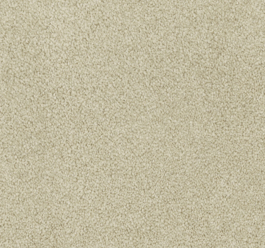 Amandre Cut Pile Twist Carpet (CGL1)