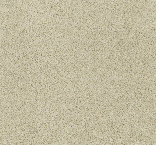 Amandre Cut Pile Twist Carpet (CGL1) - National Floors
