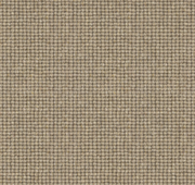 Arcadion Loop Pile Carpet (CGP1)