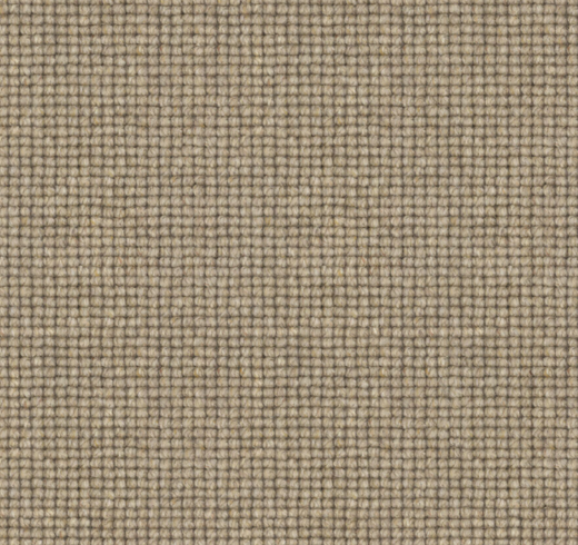 Arcadion Loop Pile Carpet (CGP1)