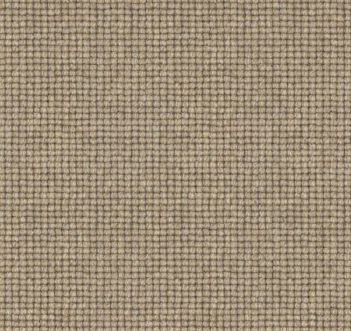 Arcadion Loop Pile Carpet (CGP1) - National Floors