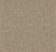 Arcadion Loop Pile Carpet (CGP1) - National Floors