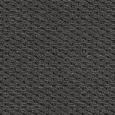 Ash Frost Loop Pile Carpet (CQK2)