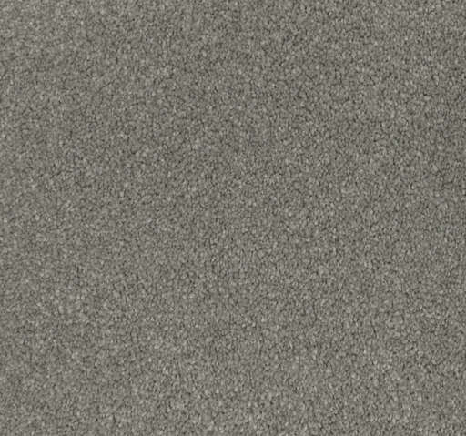 Ash Etched Cut Pile Twist Carpet (CGL2) - National Floors