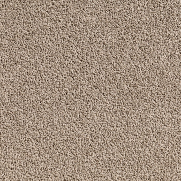 Carpet (Carpet Ashton Twist)