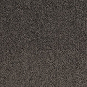 Carpet (Carpet Ashton Twist)