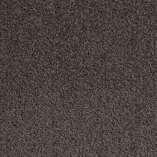 Carpet (Carpet Ashton Twist)