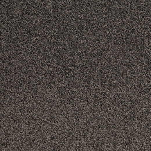 Carpet (Carpet Ashton Twist)