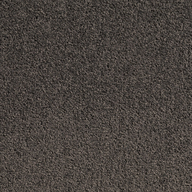 Carpet (Carpet Ashton Twist)