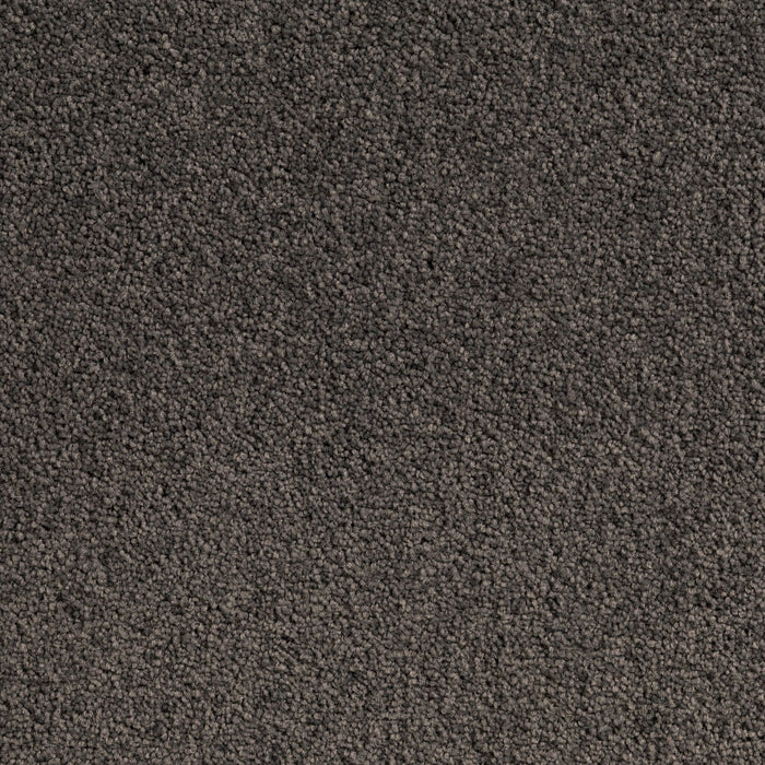 Carpet (Carpet Ashton Twist)