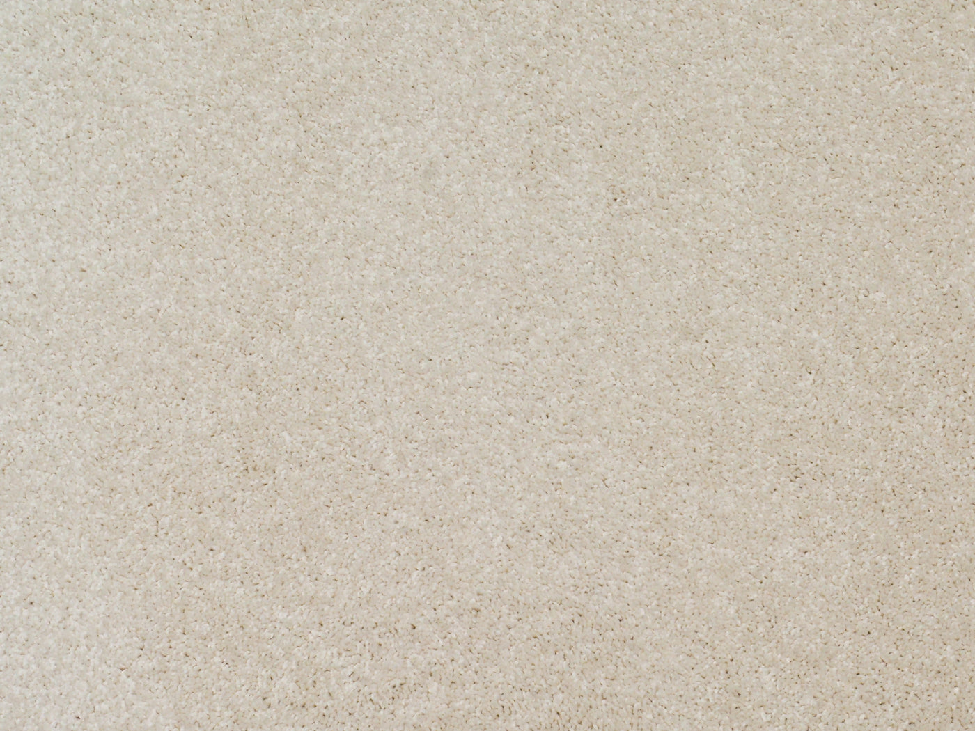 Carpet (Carpet Ashton Twist)