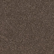 Carpet (Carpet Ashton Twist)