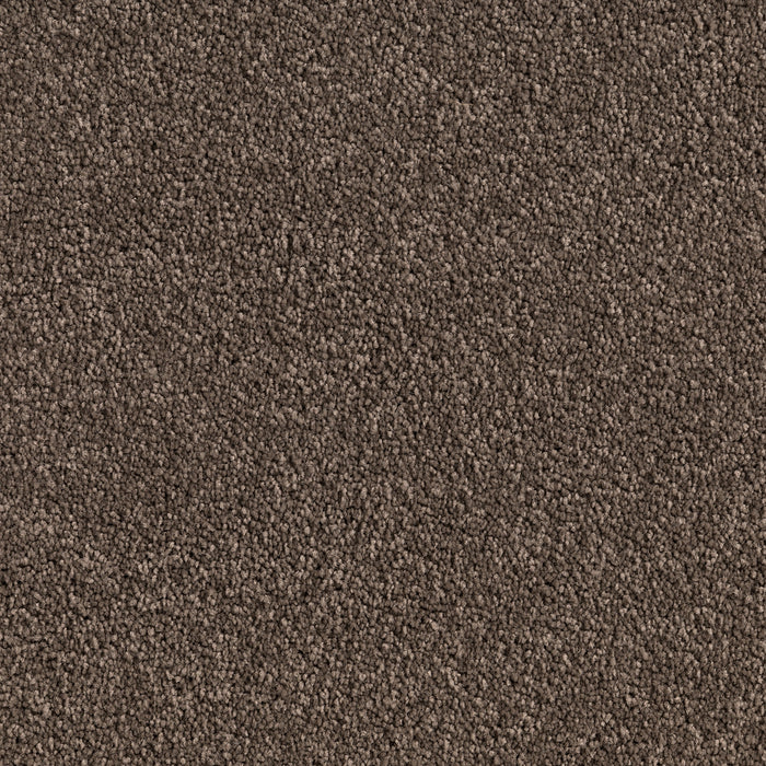 Carpet (Carpet Ashton Twist)