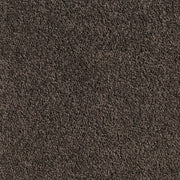 Carpet (Carpet Ashton Twist)