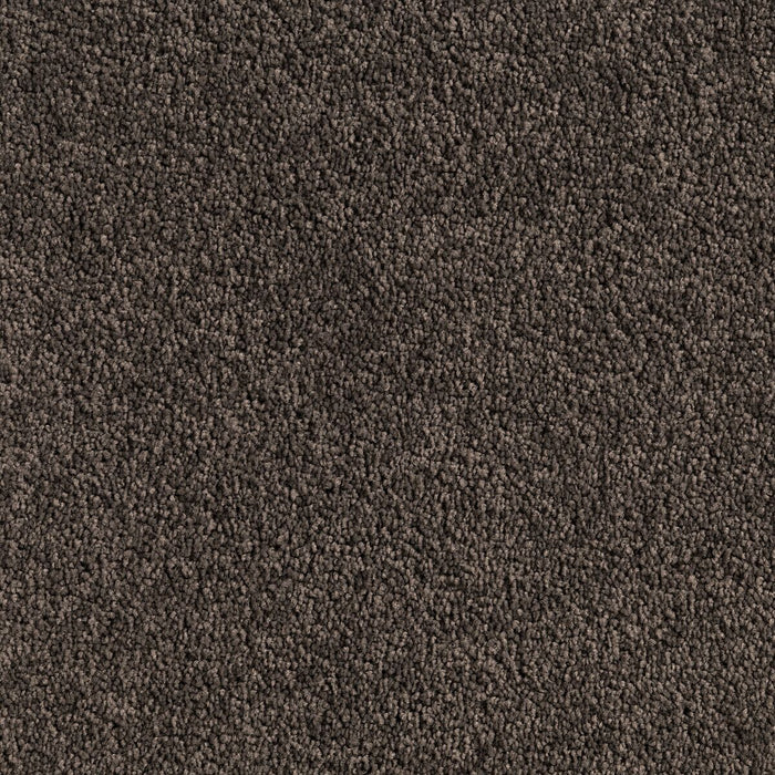 Carpet (Carpet Ashton Twist)