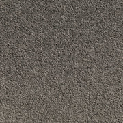 Carpet (Carpet Ashton Twist)