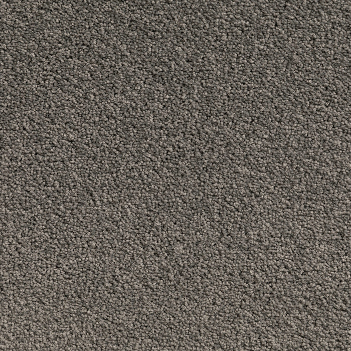 Carpet (Carpet Ashton Twist)