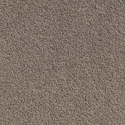 Carpet (Carpet Ashton Twist)