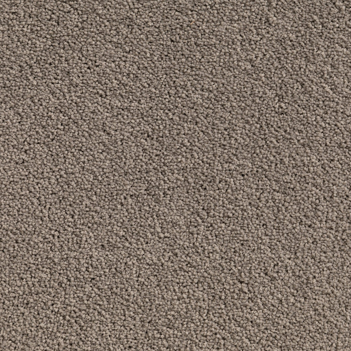 Carpet (Carpet Ashton Twist)