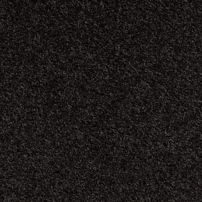 Carpet (Carpet Ashton Twist)