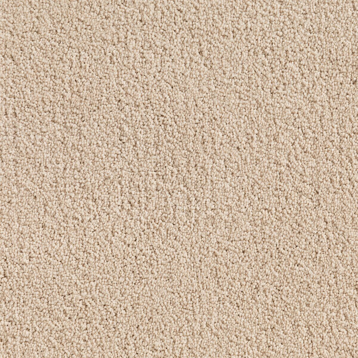 Carpet (Carpet Ashton Twist)