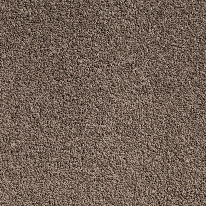 Carpet (Carpet Ashton Twist)