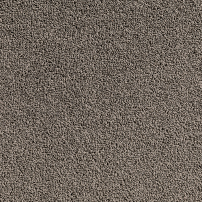 Carpet (Carpet Ashton Twist)