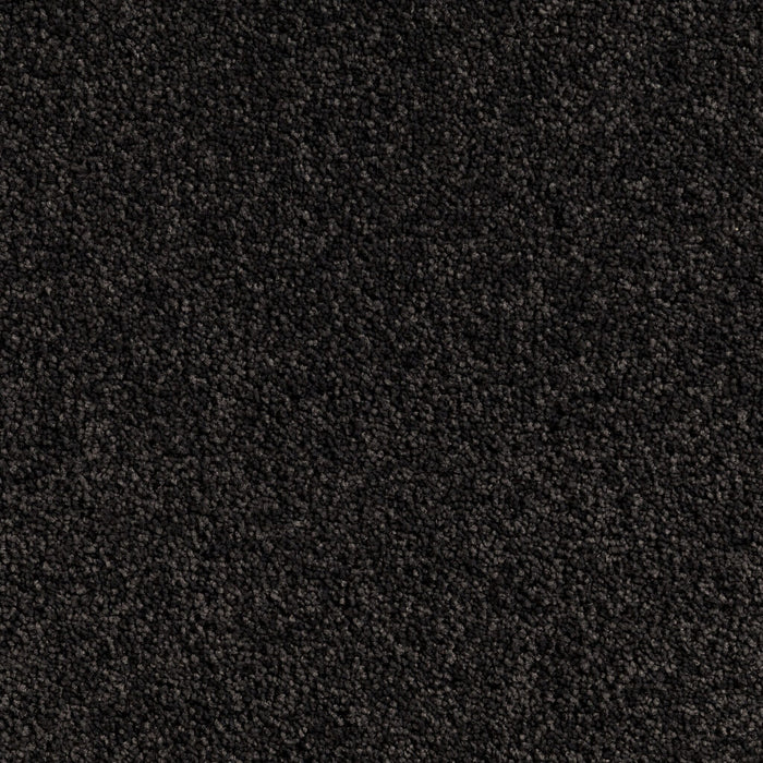Carpet (Carpet Ashton Twist)