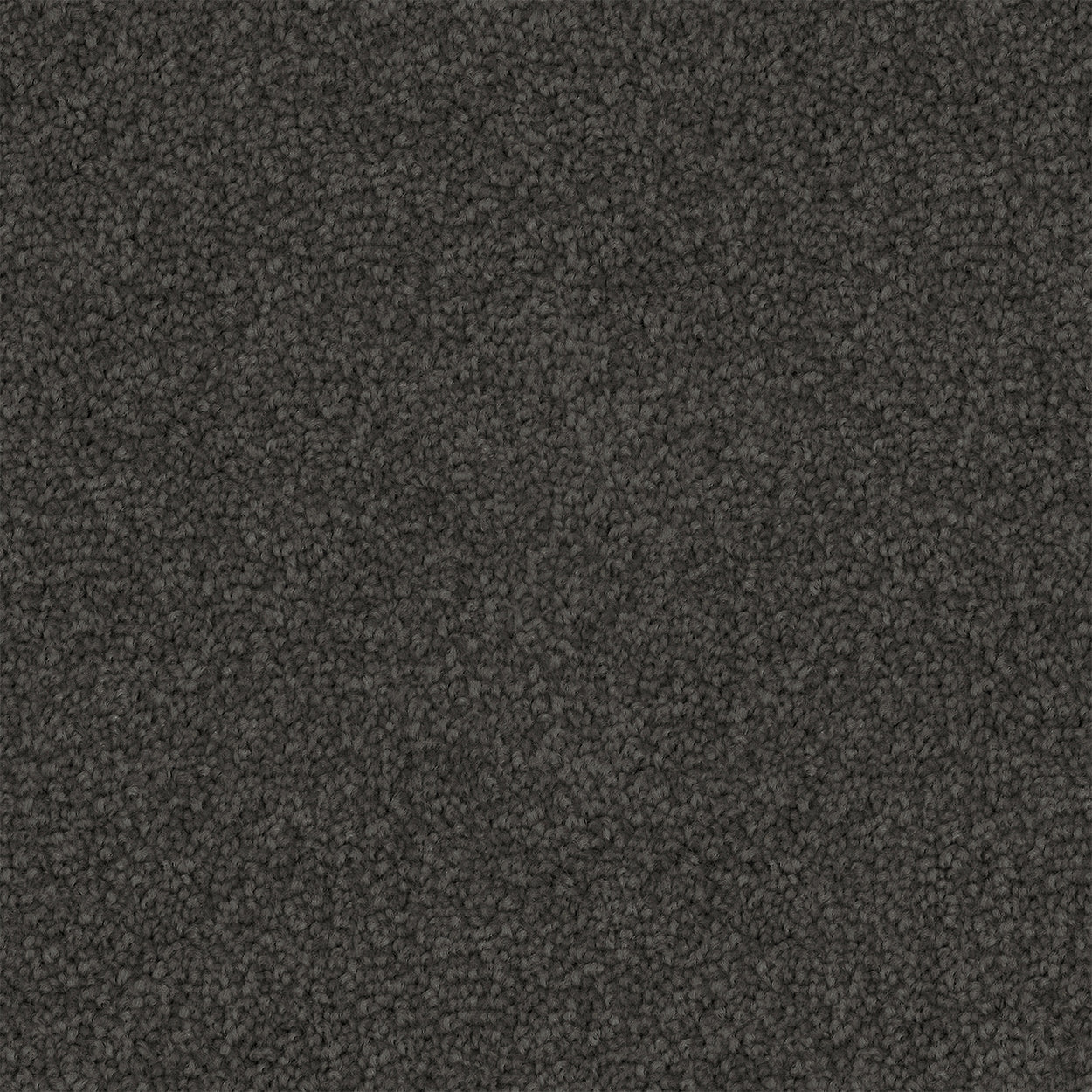 Asphera Cut Pile Twist Carpet (CGS2)
