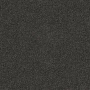 Asphera Cut Pile Twist Carpet (CGS2)