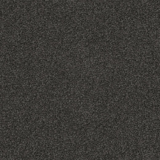 Asphera Cut Pile Twist Carpet (CGS2)