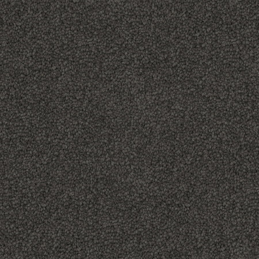 Asphera Cut Pile Twist Carpet (CGS2)